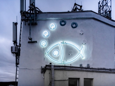 Fish Neon