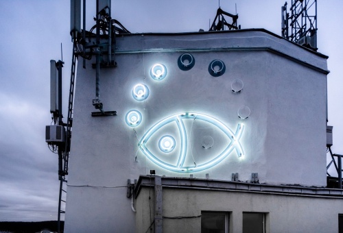 Fish Neon
